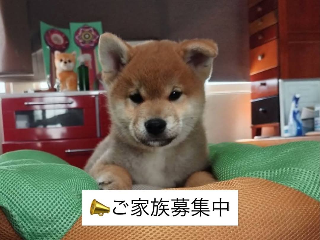 @erenhof_kennel のInstagram投稿(1か月前)