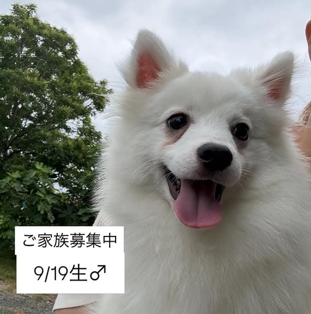@erenhof_kennel のInstagram投稿(24日前)