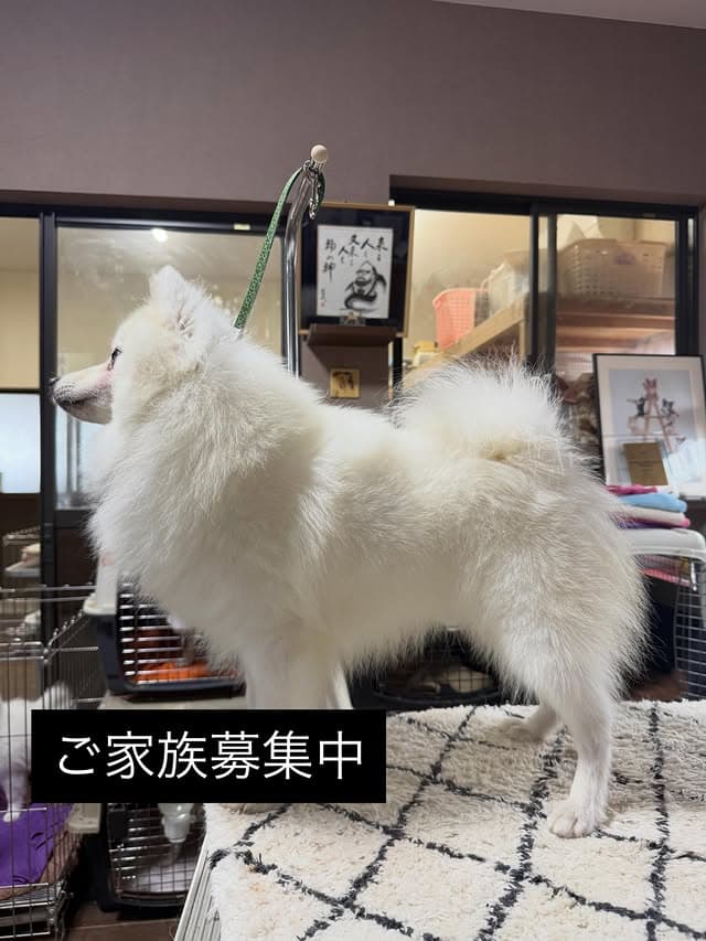 @erenhof_kennel のInstagram投稿(11日前)
