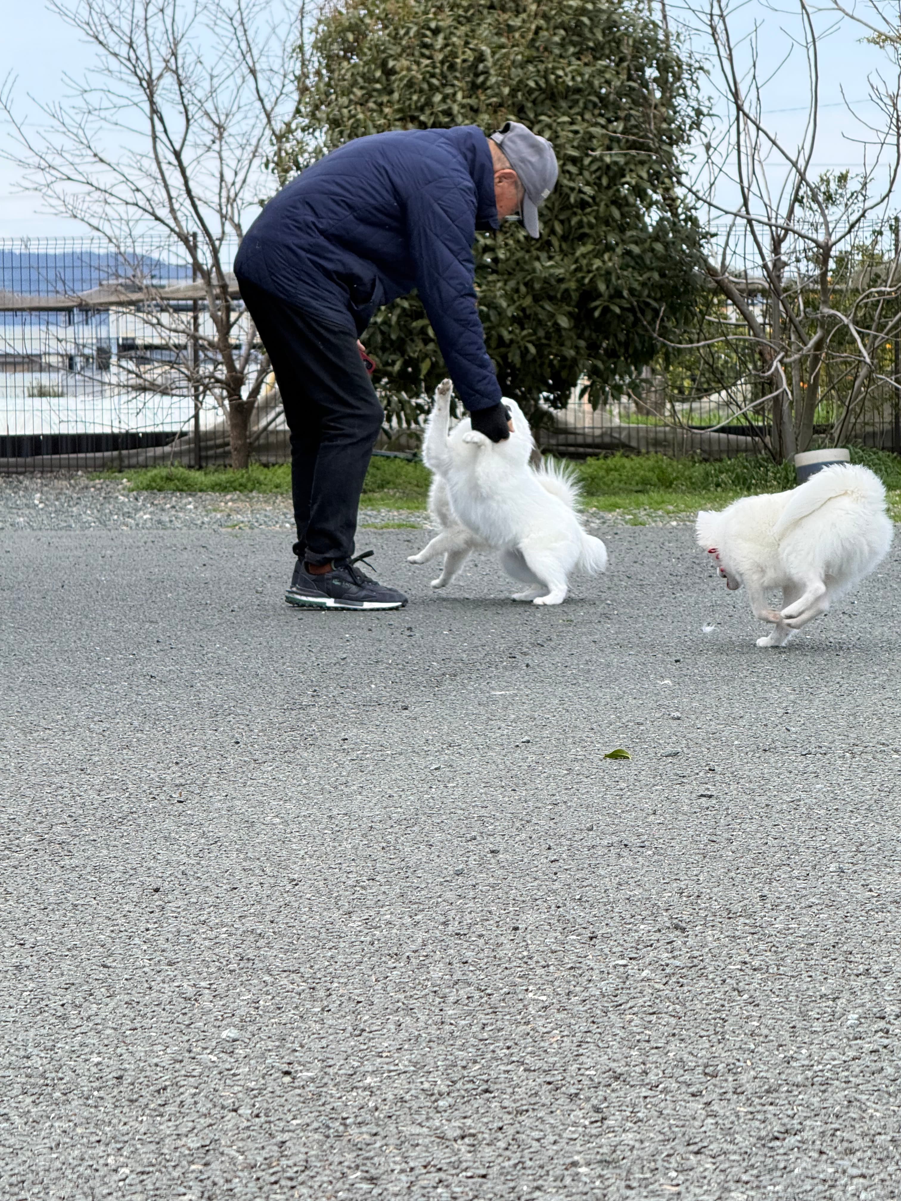 愛情たっぷりの育成