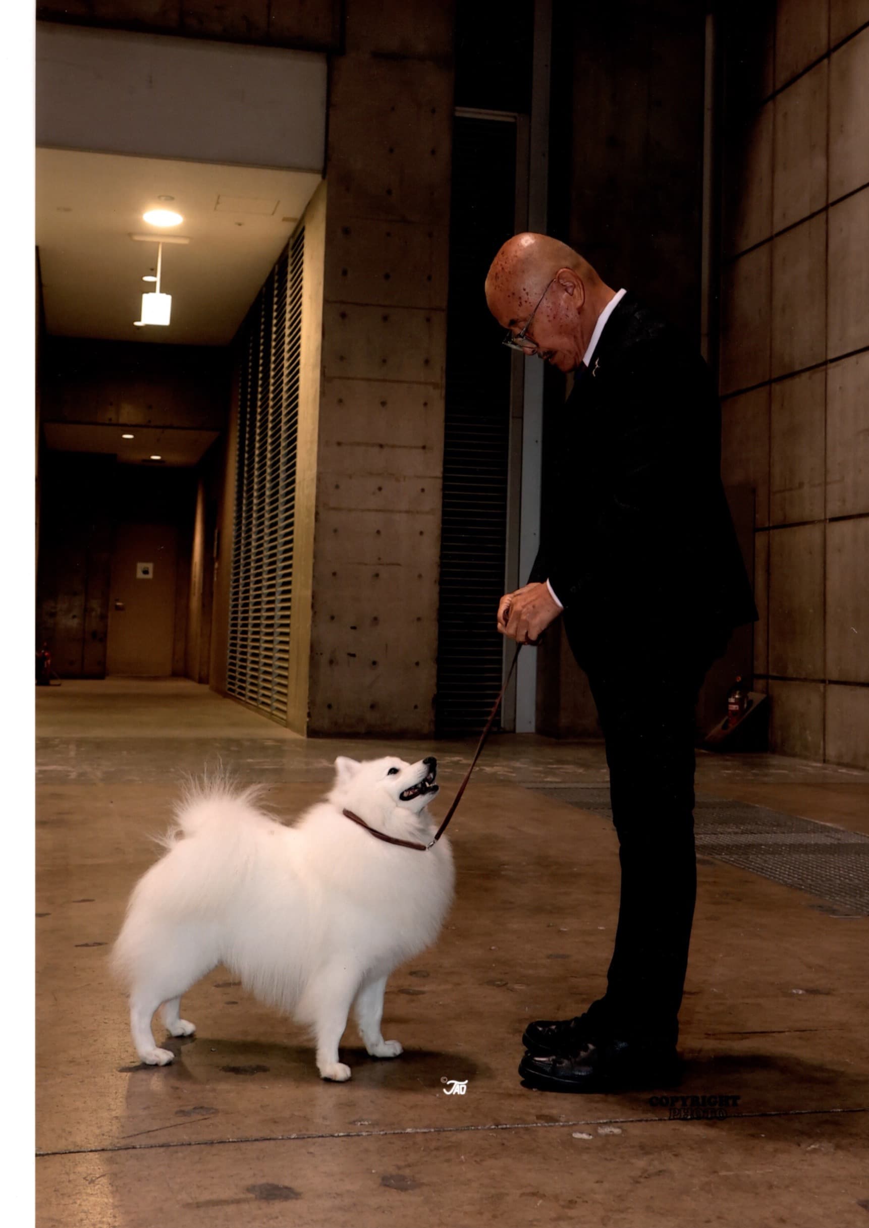エーレンホーフの犬舎と犬たち